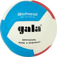Мяч вол. "GALA School 12"