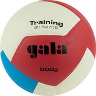 Мяч вол. "GALA Training Heavy 12 "